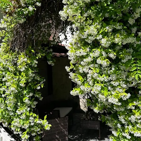 Bliss House In Siviri